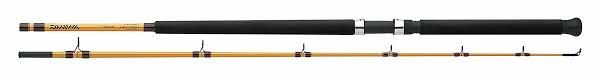 Daiwa FT Surf Spinning Rod 11' 2pc M